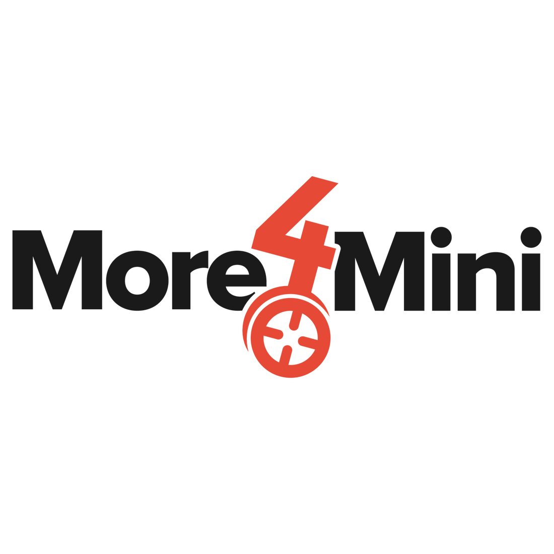 9Bot Store is now More4Mini