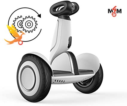 Become M4M Swallowbot Partner in your country in Europe !