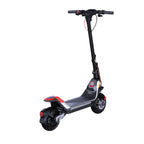 Segway Kickscooter P100S