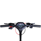 Segway Kickscooter P100S