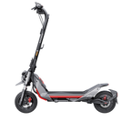 Segway Ninebot ZT3 Pro E