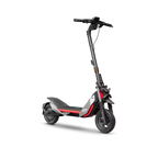 Segway Ninebot ZT3 Pro E