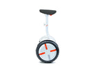 Ninebot MiniPro - Ninebot MiniPro Black Or White 320wh